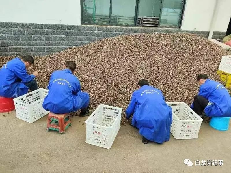 產(chǎn)值已過(guò)億，宜昌這地正在布局新賽道